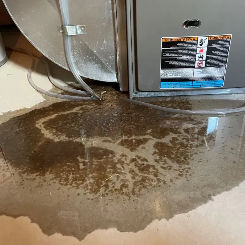 Pipe Burst and Leak Restoration in Manti, UT