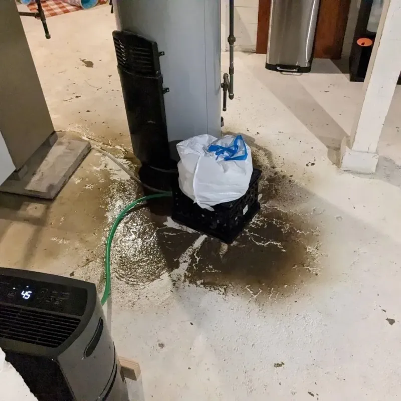 Sewage Backup Cleanup Service in Manti, UT